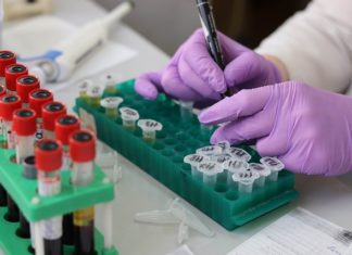 UČITELJ/ICA PRIRODE I BIOLOGIJE