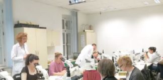 Organizirane radionice i predavanja s temama iz područja biologije