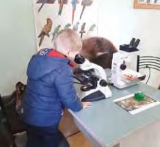 Obilježavanje Svjetskog dana žaba