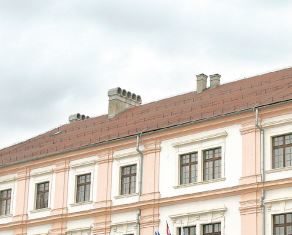 Treća sjednica Senata Sveučilišta Josipa Jurja Strossmayera u Osijeku u akademskoj 2019./2020. godini održana 29. siječnja 2020. godine