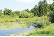 Odjel za biologiju Sveučilišta Josipa Jurja Strossmayera u Osijeku – institucijski projekti