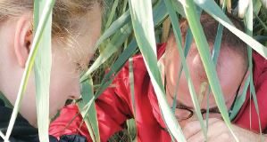 „Plankton i perifiton u ribnjacima PP Orahovica”