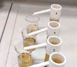 „Utjecaj mikroplastike na vodozemce”