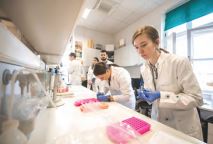 Kultura znanosti – pogled biologa