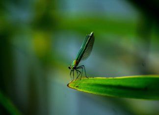 Radionica OSNOVE AKADEMSKOG I POSLOVNOG BONTONA