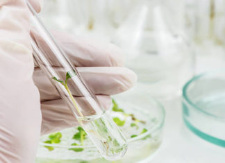 UÄITELJ/ICA PRIRODE I BIOLOGIJE