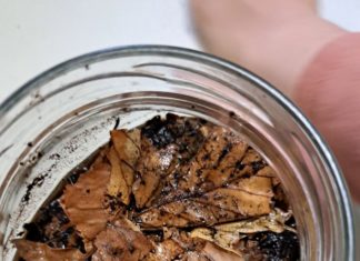 Održana radionica u DV Kockica (24.11.2023.)