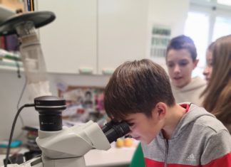 Održane radionice za učenike OŠ Ivan Filipović i OŠ Antun Mihanović (17. i 22.01.2024.)