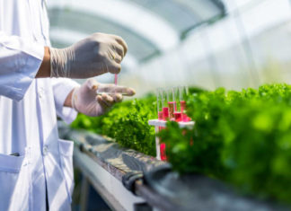 UČITELJ/ICA PRIRODE I BIOLOGIJE