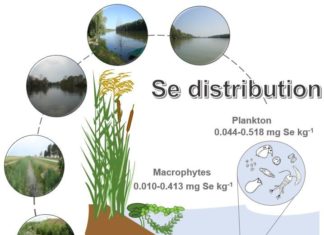 Objavljen novi znanstveni članak istraživača Odjela za biologiju