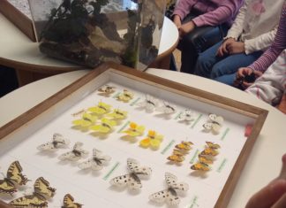 Obavijest o pismenom ispitu iz predmeta čije su nositeljice doc. dr. sc. Alma Mikuška i doc. dr. sc. Mirta Sudarić Bogojević