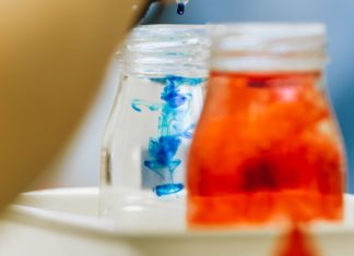 Biološke pustolovine