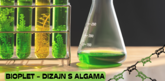 Bioplet – dizajn s algama