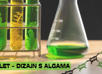 Bioplet – dizajn s algama