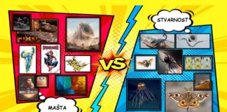 Beskralježnjaci kao inspiracija u svijetu stripova i filma