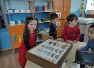 Održana radionica „Kukci“ u vrtiću Jabuka (22.04.2024.)