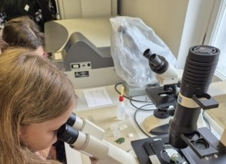 Održana radionica „Prirodoslovna inteligencija“ u sklopu Festivala znanosti (24.04.2024.)