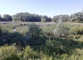 Obilježen Dan planeta Zemlje (19.04.2024.)