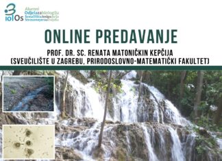 Alumni BiolOs online predavanje: Utjecaj restauracije na perifiton na primjeru sedrene barijere Skradinski buk (NP Krka)