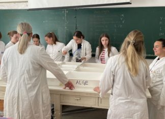 Terenska nastava 2 – botanika i Terenska nastava 2 – zoologija u Puli i Rovinju (29.05.2024.)