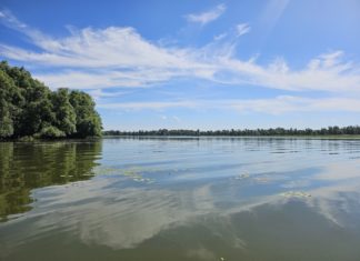 Obavijest o pismenom ispitu kod izv. prof. dr. sc. Filipa Stevića