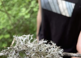 Posjet Parku prirode Papuk u sklopu predmeta Lišajevi kao biomonitori (10.06.2024.)