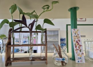 NASTAVNIK/ICA BIOLOGIJE