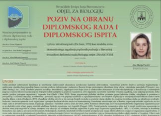 Obrana diplomskog ispita studentice Ane Marije Pavičić