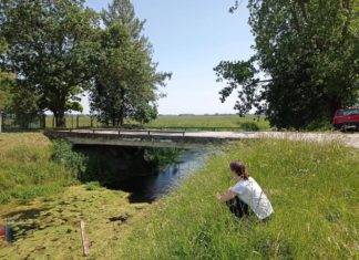 Studentica Lukrecija Lučić realizirala praksu u sklopu projekta “Alumni mentor” (lipanj 2024.)