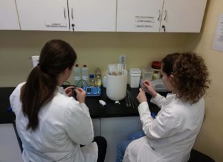 UČITELJ/ICA PRIRODE I BIOLOGIJE