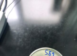 ASISTENT / ASISTENTICA