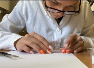 Studentica Tea Vučković realizirala praksu u sklopu projekta “Alumni mentor”