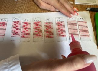 UČITELJ/ICA PRIRODE I BIOLOGIJE