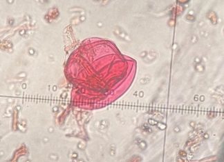 TEHNOLOG/TEHNOLOGINJA RIBNJAČARSTVA