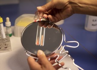 UČITELJ/ICA PRIRODE I BIOLOGIJE