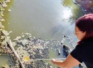 UČITELJ/ICA PRIRODOSLOVLJA