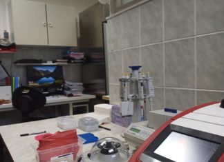 UČITELJ/ICA PRIRODE I BIOLOGIJE