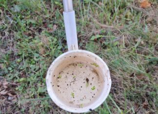 MAGISTAR/RA-DIPLOMIRANI/A INŽENJER/KA BIOLOGIJE