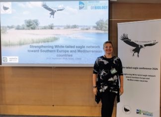 Odjel za biologiju sudjelovao na međunarodnoj konferenciji White-tailed Eagle Conference 2024 – Strengthening White-tailed Eagle network toward Southern Europe and Mediterranean countries (15.09.-21.09.2024.)