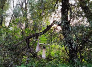 NASTAVNIK/CA KEMIJE I BIOLOGIJE