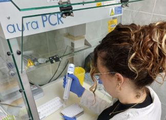 Studentica Lorena Falak realizirala praksu u sklopu projekta “Alumni mentor”