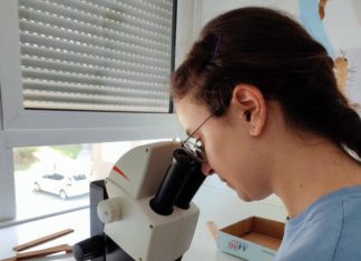 UČITELJ KOJI OBAVLJA POSLOVE UČITELJA PRIRODE I BIOLOGIJE (M/Ž)