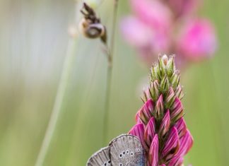 NASTAVNIK/CA BIOLOGIJE