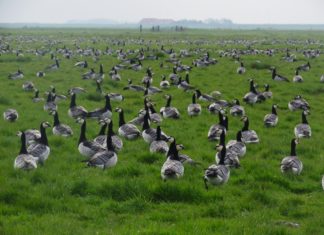 UČITELJ/ICA PRIRODE I BIOLOGIJE