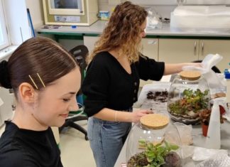 Realiziran studentski projekt “Biljni terarij”