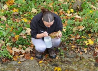 Realiziran studentski projekt “Planarije Slavonskog gorja: molekularna istraživanja”