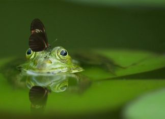 Mladi za održivu budućnost: Predavanje o klimatskim promjenama i održivom razvoju – poziv