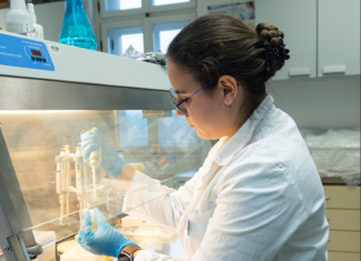 Uspješno realiziran studentski projekt