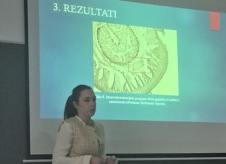 Diseminacija uspješno realiziranih studentskih projekata (09.01.2025.)