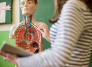 UČITELJ/UČITELJICA BIOLOGIJE I KEMIJE